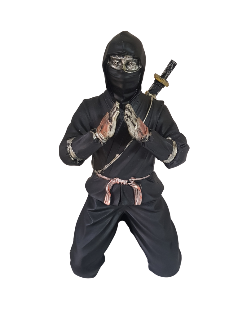 Ninja de joelho   editado